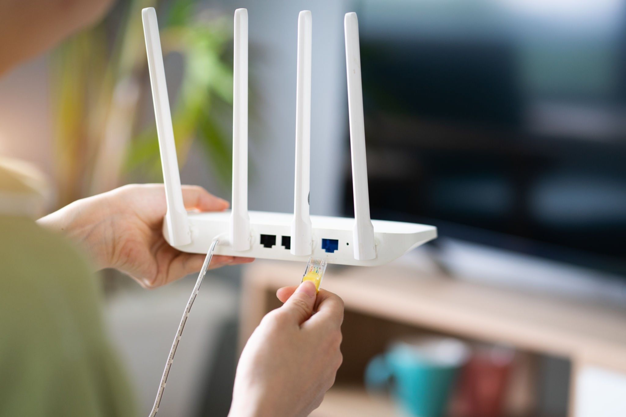 Unplug your modem first, then your router.